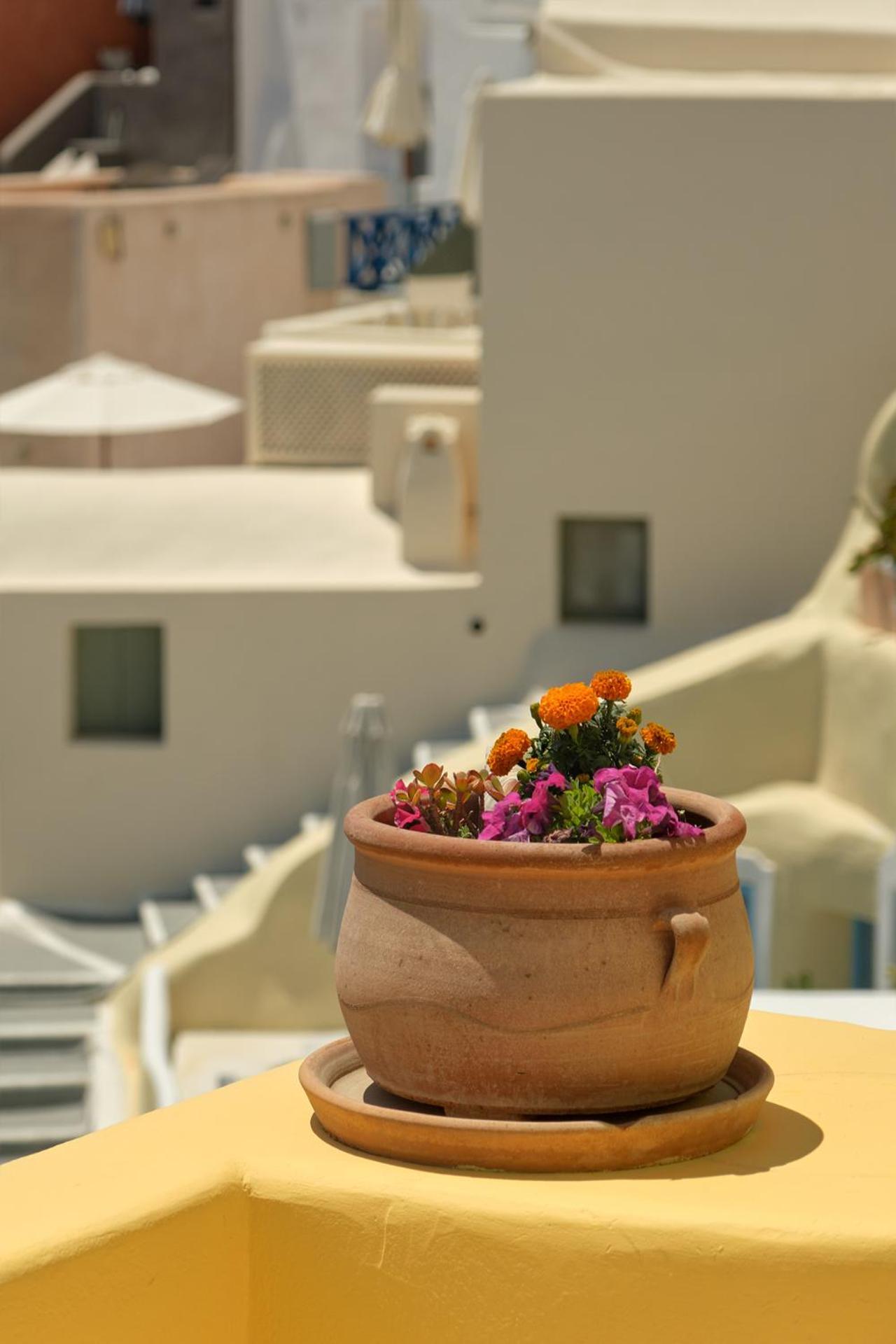 Ilivatos - Elegant Villa On The Caldera'S Edge Oia  Ngoại thất bức ảnh